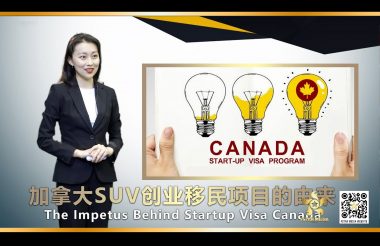 聚星传媒 品牌推广