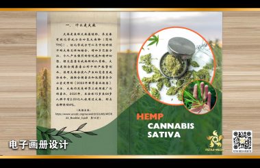 聚星传媒电子画册设计